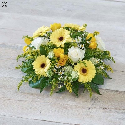 Scented Yellow Posy